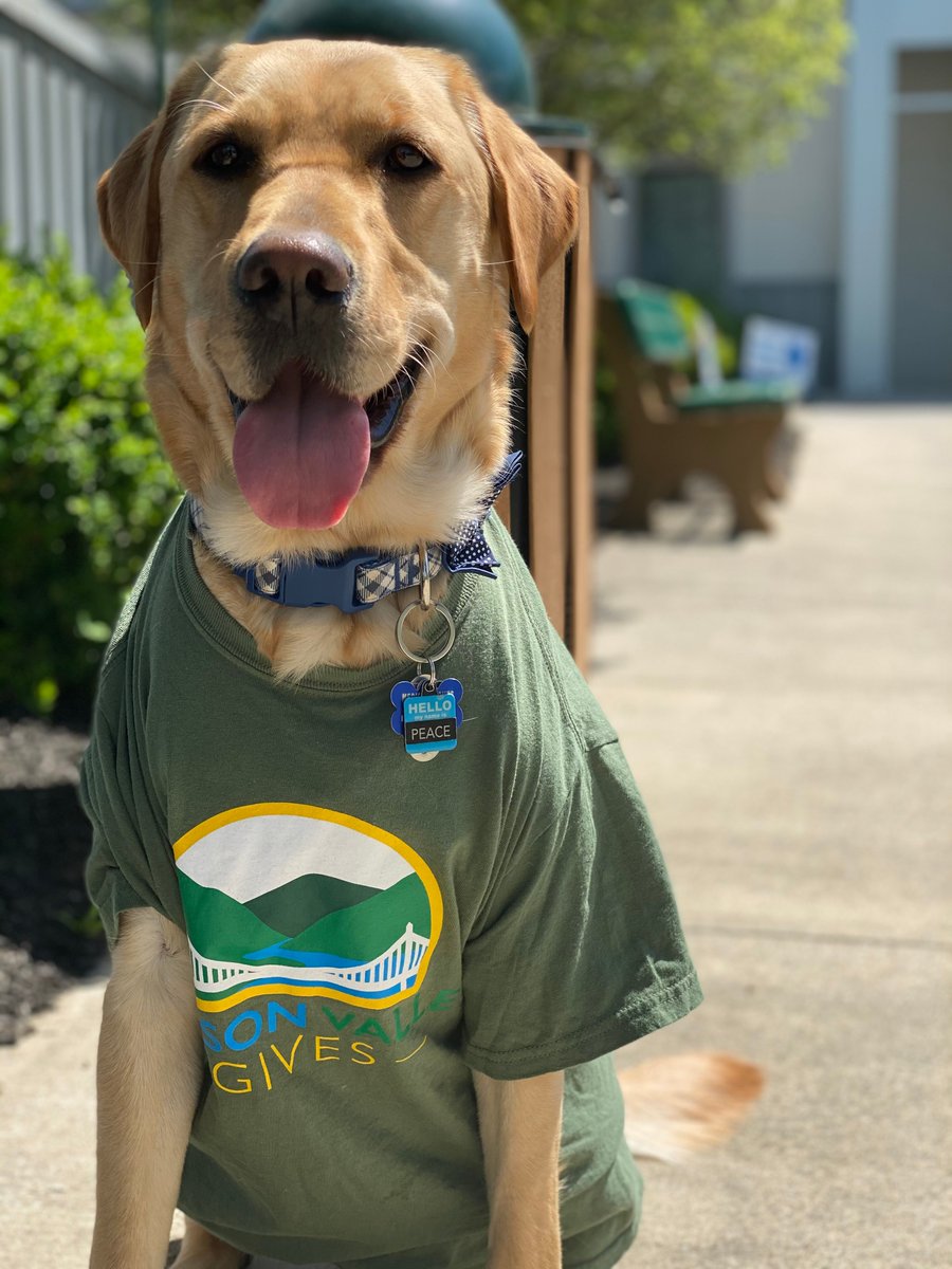 Smile! 😁  Peace is proudly sporting his #HVGives shirt as we prep for tomorrow's @HVGives Day, a 24-hour day event to show support for where we live. This year, our page is dedicated to Peace to provide ongoing care. View our #HVGives page to learn more. buff.ly/3eXISIX