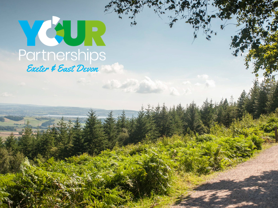 CHSW's tweet photo. Make new business connections and enjoy an #IncredibleHike in support of CHSW at @HaldonForestFE at the @YPartnerships Exeter and East Devon Netwalking event on May 27 🤝🥾
Register here 👉 https://t.co/D9mNEcSt28
#EastDevon #eastdevonhour #yourpartnerships #networking https://t.co/xsQdx64EnA