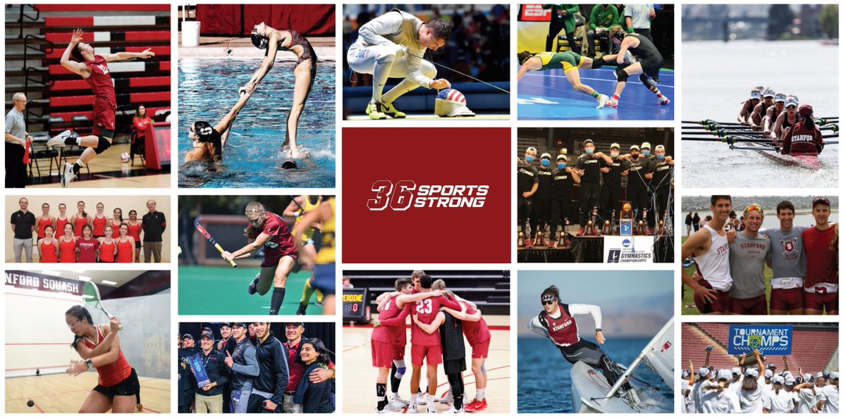 36SportsStrong's tweet image. Never, ever give up. @goStanford is back to 36 strong! We wouldn’t be making this announcement today if it hadn’t been for YOU. Your help and support has been invaluable.  Read more: 36sportsstrong.org
