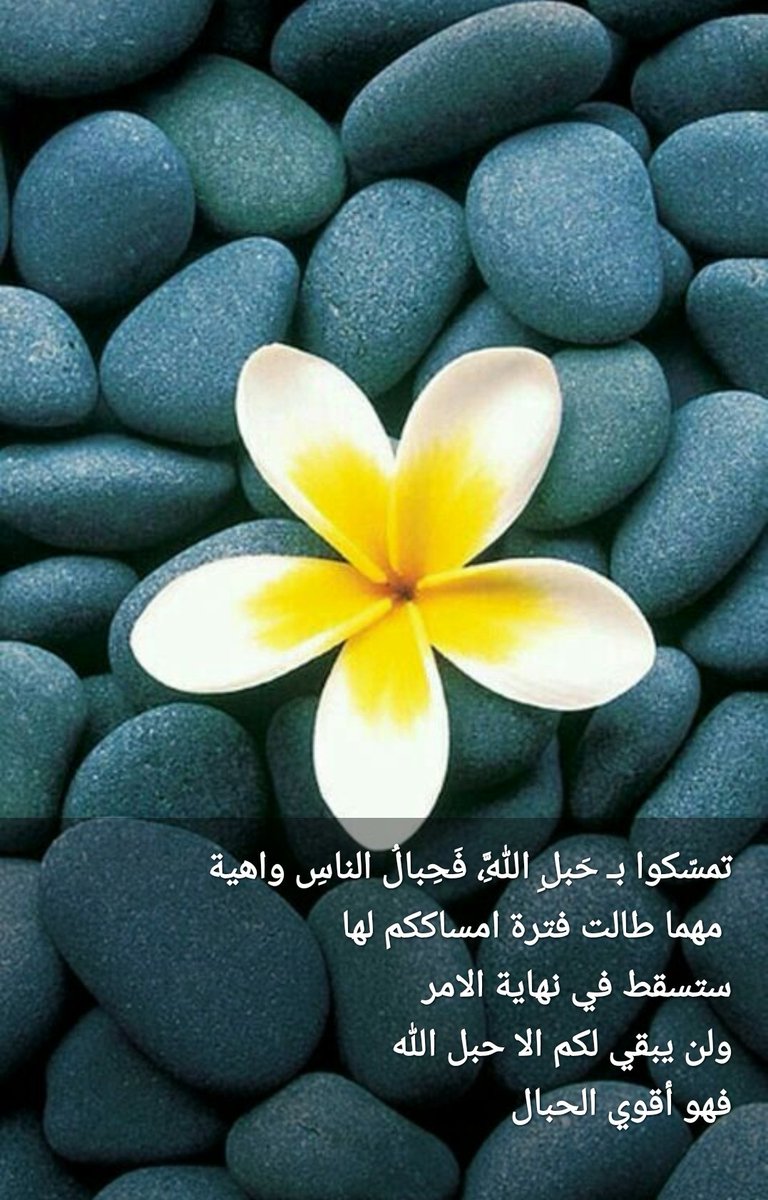 DrRogRog's tweet photo. https://t.co/XONFnOTYU1