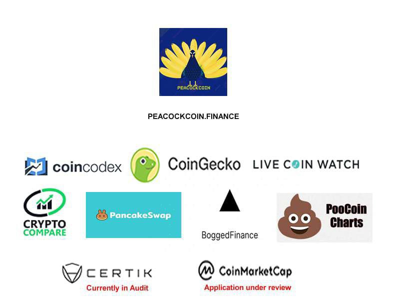 HenryAkonk's tweet photo. @cryptofrog202 Try to see @PeacockCoin bruh https://t.co/aMeUT5ytxw