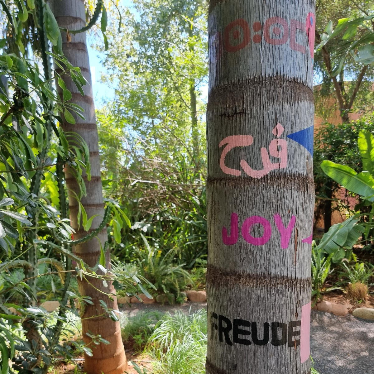 visitmarrakechregion tweet media