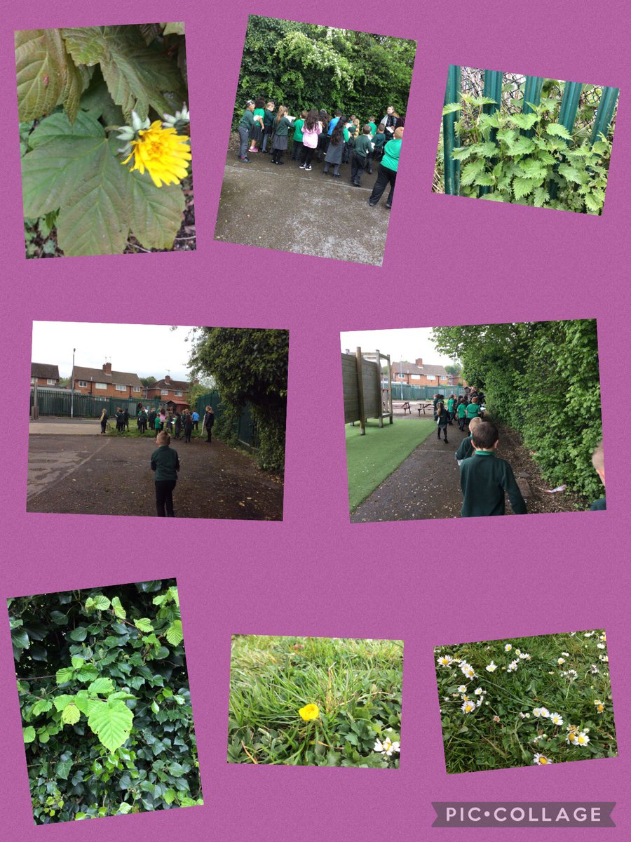 Timbertreeyear1 tweet media