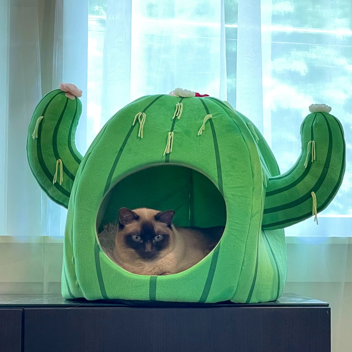 Ⓜ️elissa tweet media