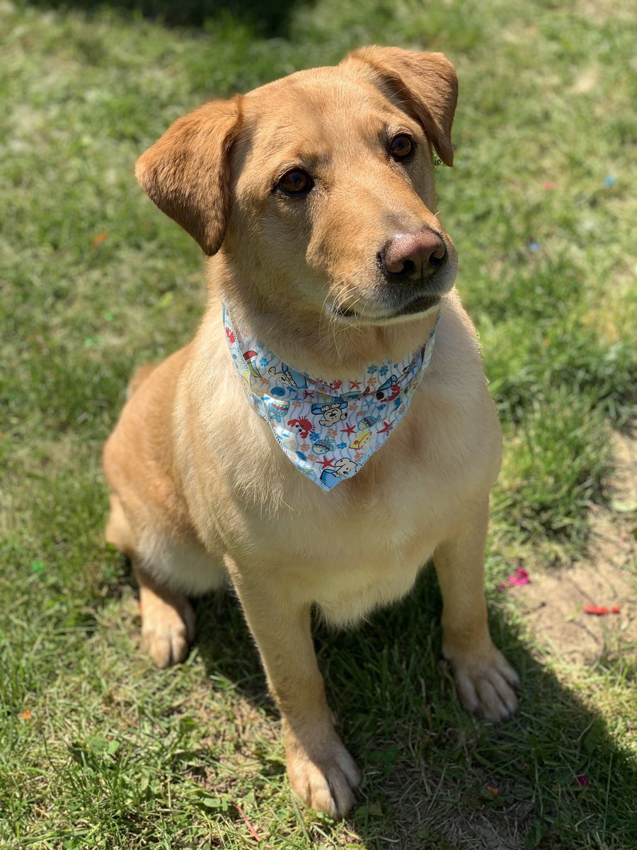 LeviforOffice@bsky tweet media