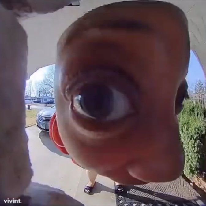 shawteaimcrying's tweet photo. collegeboard ppl tryna see everyone through their covered cameras: 
#writing #essay #aplit #apliterature #aplitexam #apliteratureexam #collegeboardmemes #aplitmemes https://t.co/gs9llia11H