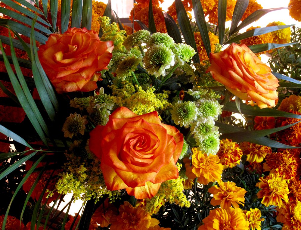 EveLittlepage's tweet photo. I've started writing my tribute #ForFritz, my Halloween Birthday buddy🎃🎂, so I'm off to finish✍️📜.I'm at the stage where I can read other people's tributes & write my own w/o my eyes watering. My back is in spasm (old stuff) so lunch was soup + meds. Cats & Flower pix welcome! https://t.co/azXMWPDTSJ