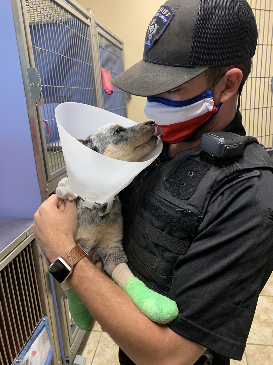 Animal Control Officer Devon Hallford cares for an injured canine.