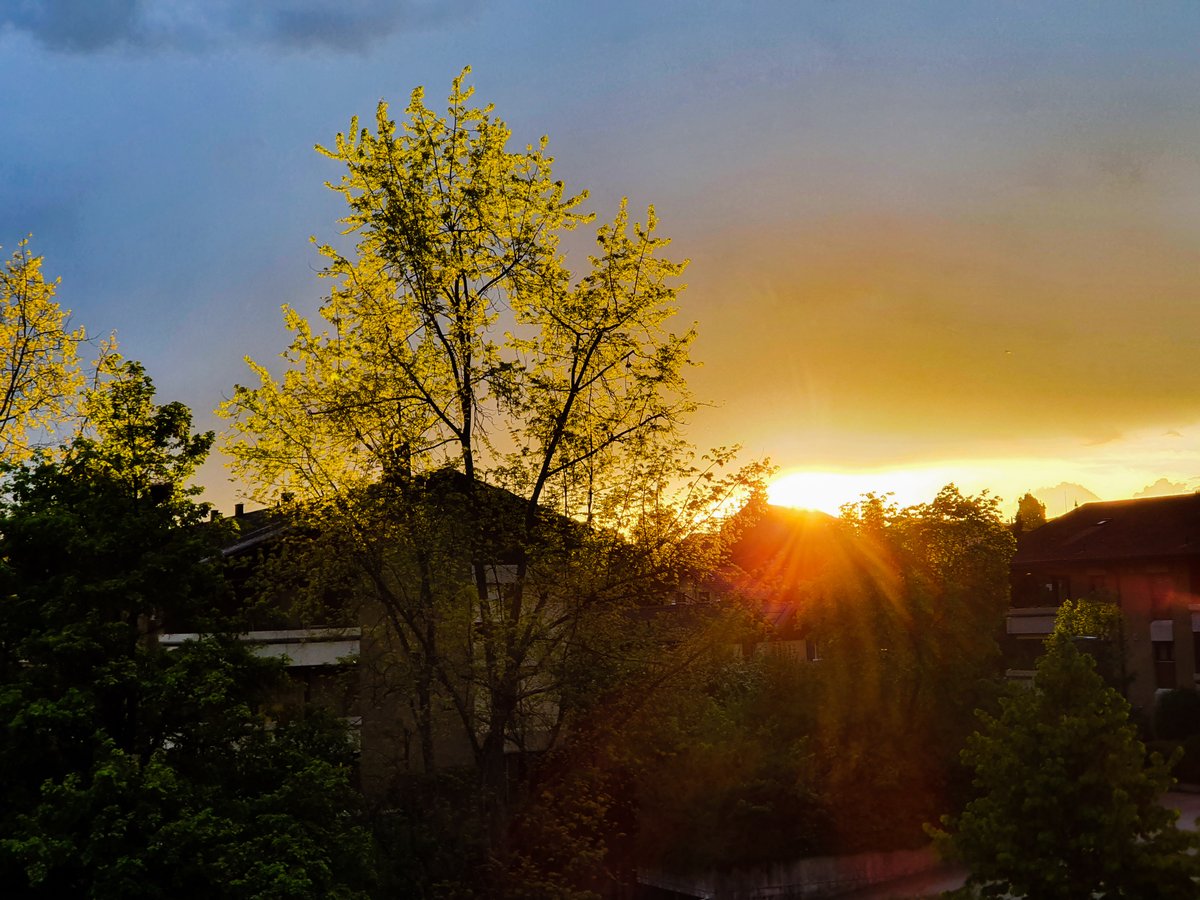 patrickmatusz's tweet photo. #sunset #Switzerland #Bern #vechigen #sun #clouds #rainy #photography https://t.co/LsDX452SHt