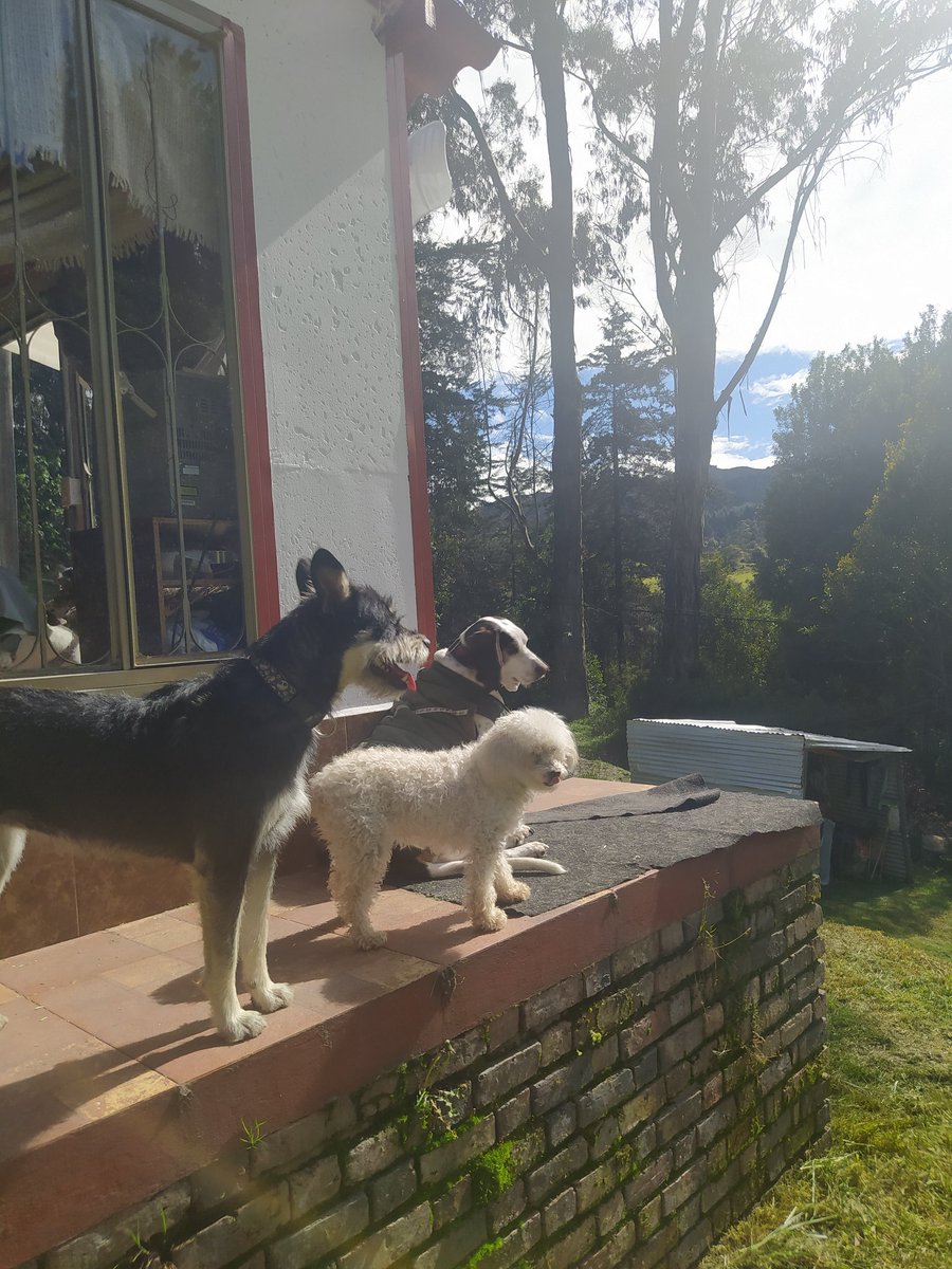 SALVANDO4AL1OO's tweet photo. #TardeDeSol
☀️☀️☀️☀️☀️☀️
#GraciasDios https://t.co/oTf9ZIKYoR