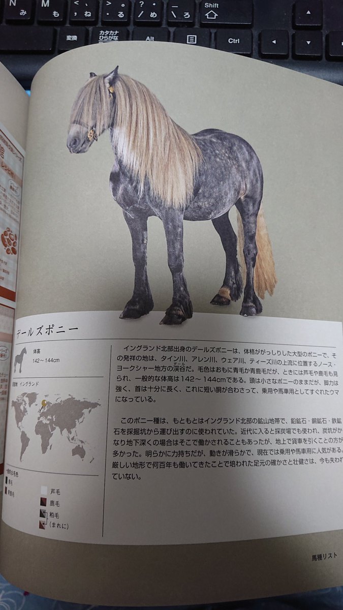 ユージン 今さらだけど ポケモンのレイスポスってテールズポニーが元ネタなんだろね 馬はイングランド産だし ポケモン剣盾は イギリスモチーフだし たまたま馬の図鑑読んでて気付いたゾ