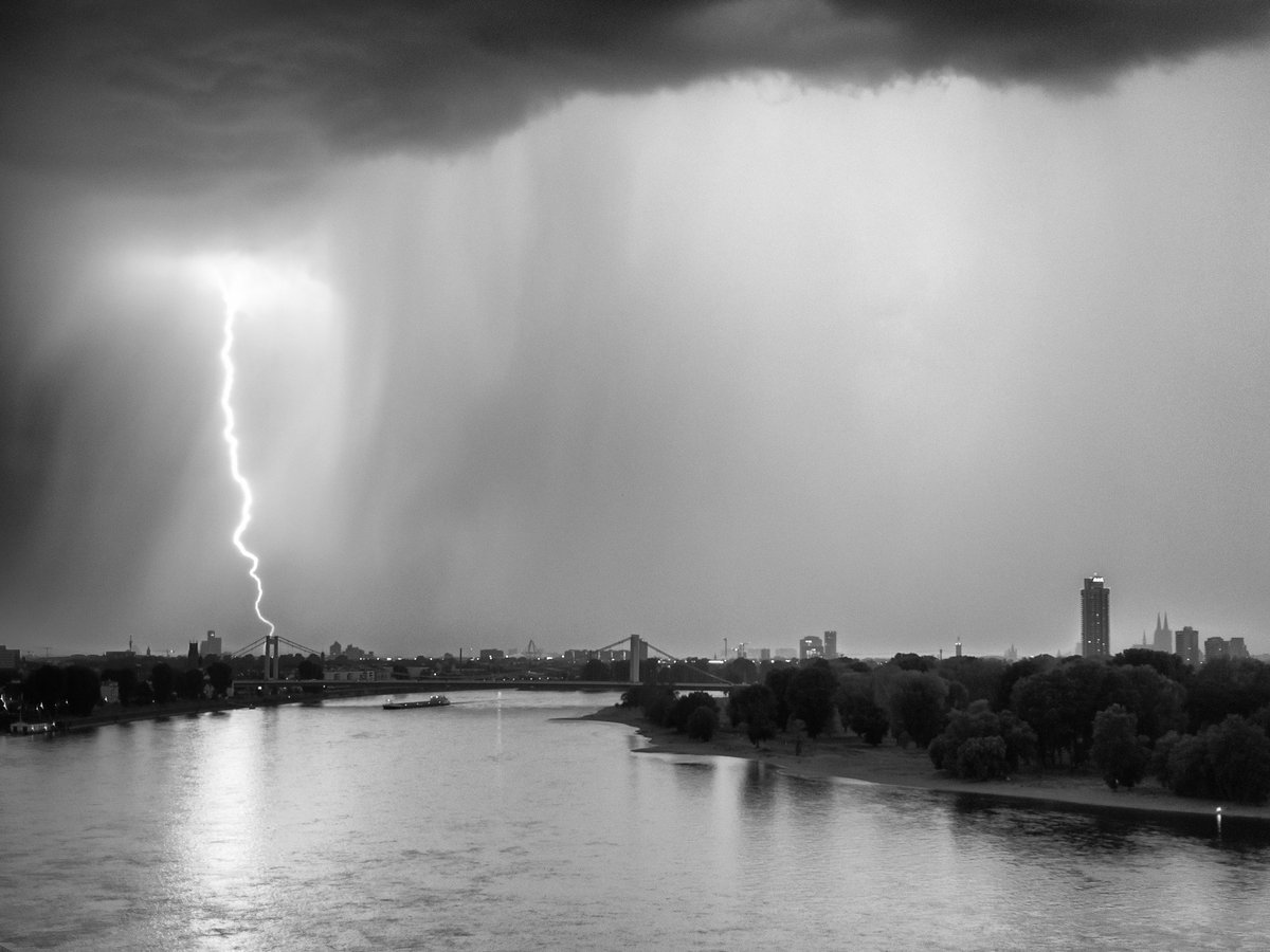 dspusrprf's tweet image. 