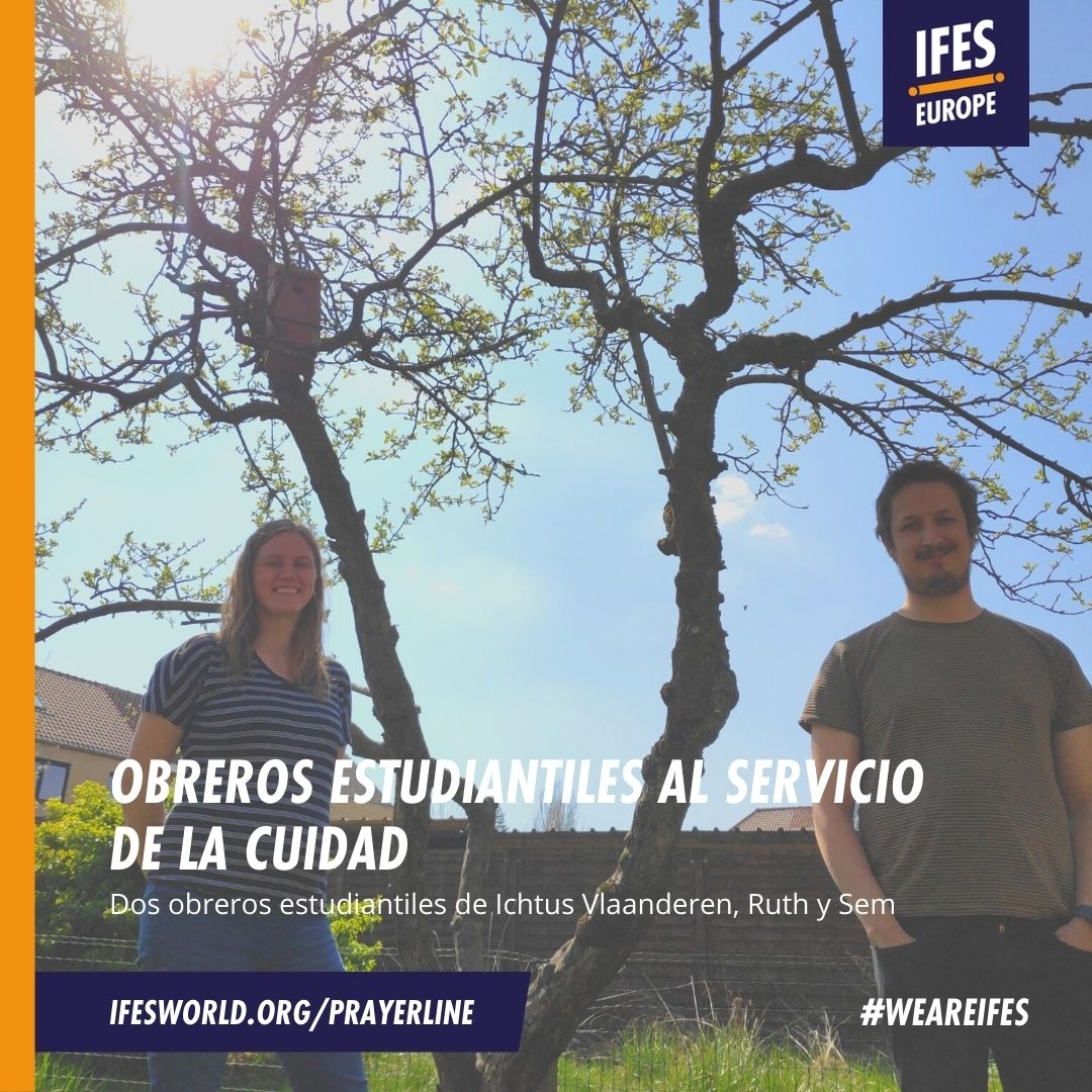 IFES tweet media