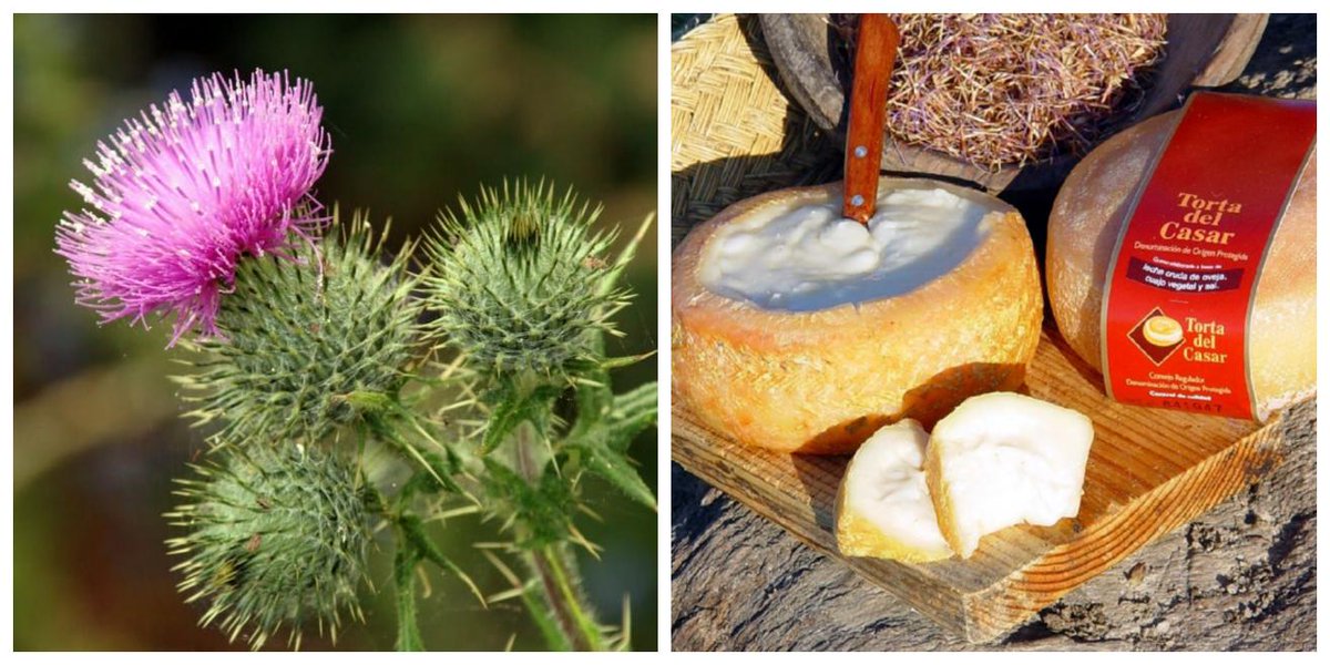 Miguel A. Lurueña tweet media