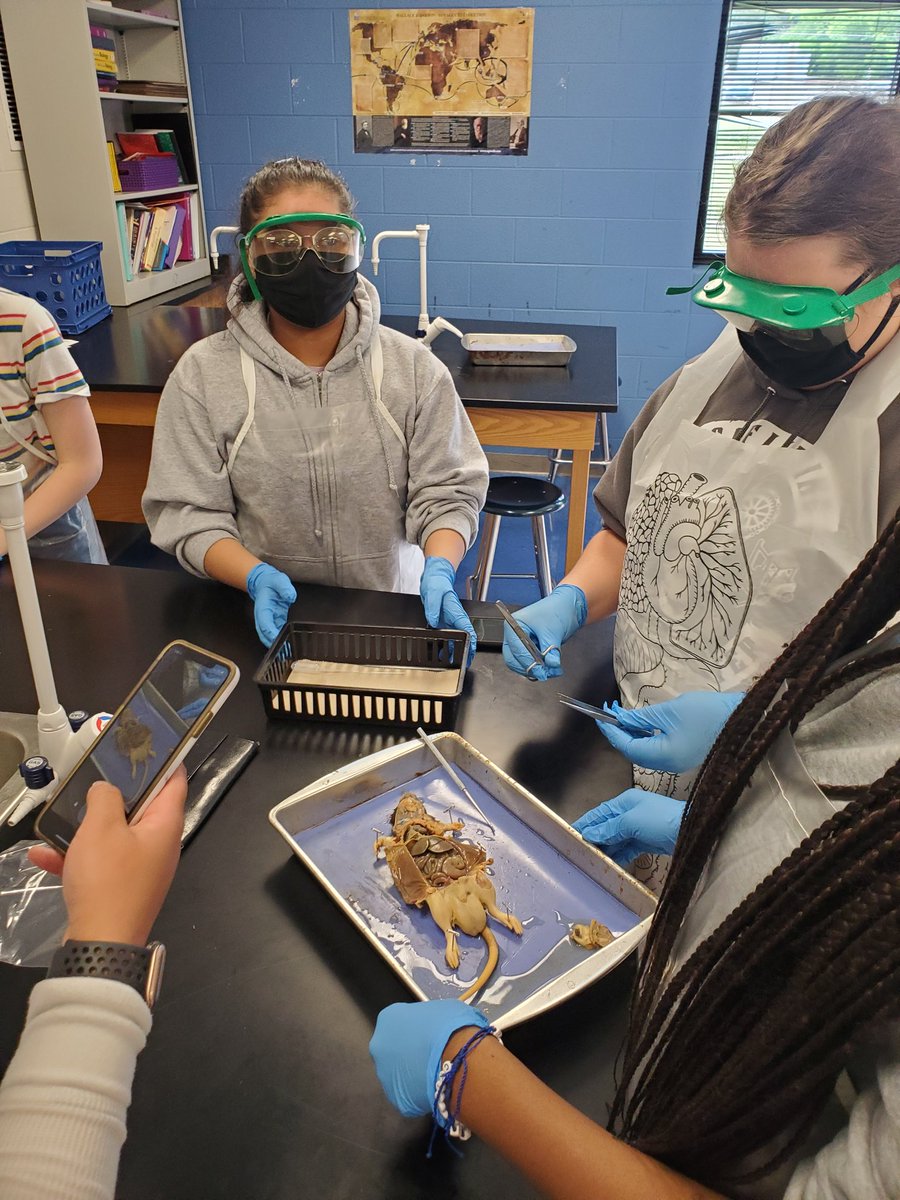 My <a href="/LHSintheNews/">LaVergne High School</a> EnvSci classes were able to dissect rats as an enrichment activity this week, and they did such a great job!! 💙🐀 #sciencerules