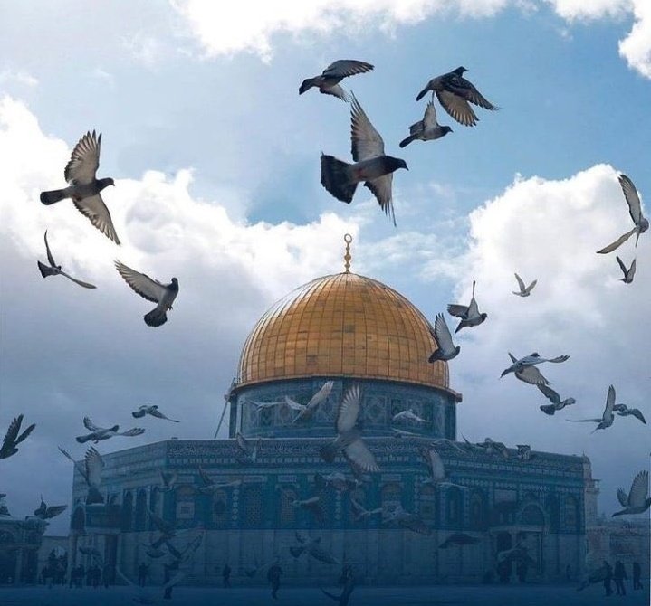 WasimSayed75033's tweet photo. If you stand with #Israel 
Give them your Land your Home &amp; your Country
Go to hell #israel and all the #zionist
#GazaUnderAttackk Save children in Gaza! Save humanity!
#SavePalestine
#Quds is in our ""HEART""❤️
#Quds_हमारा_है
#WakeUpMuslimUmmah
#FreePalestine
I Love♥️#Palestine https://t.co/GoHuwyrI1F
