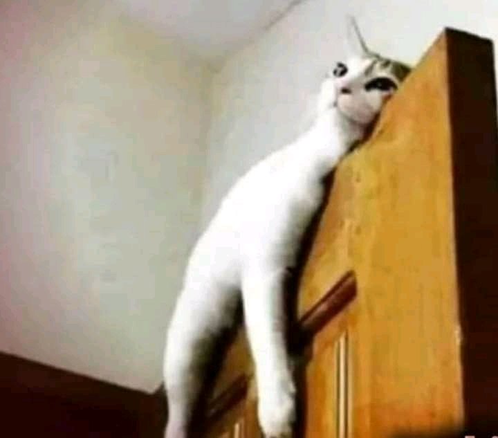 mit4018758's tweet image. ....वाली पर तो #blockdown लगा है😥