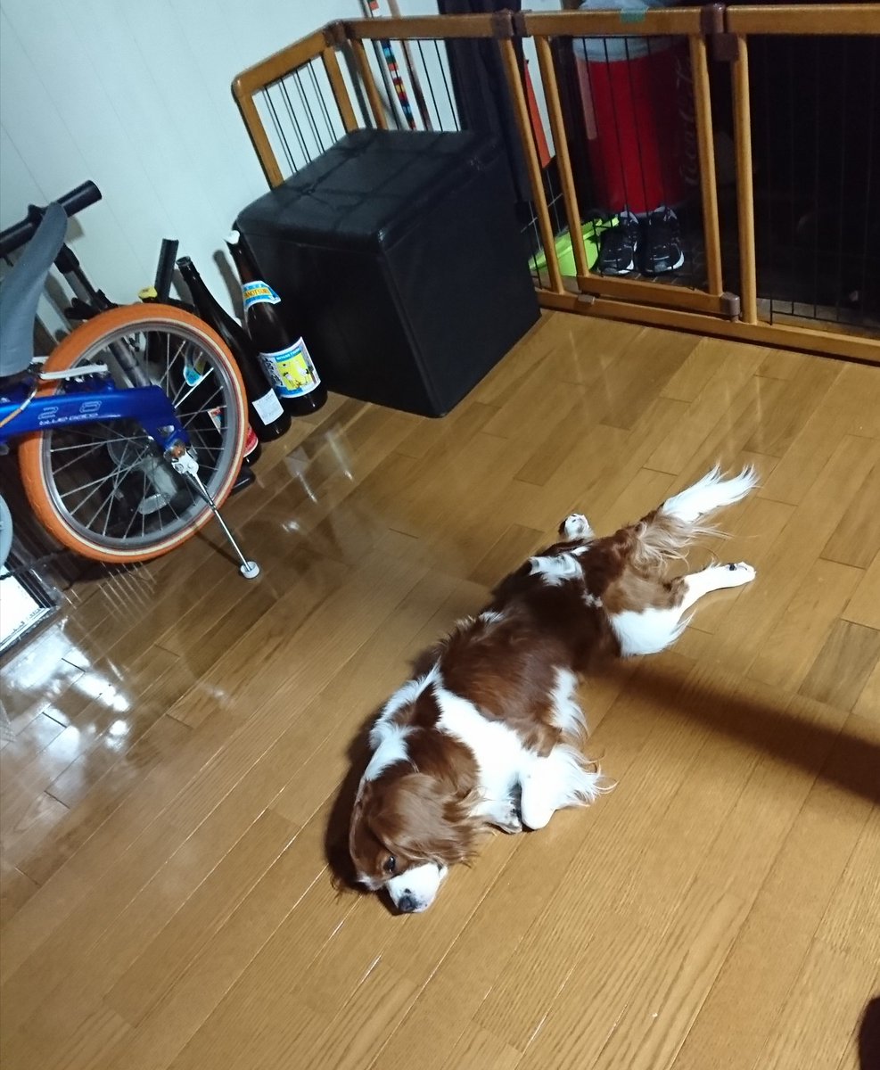酔っ払いあるある
