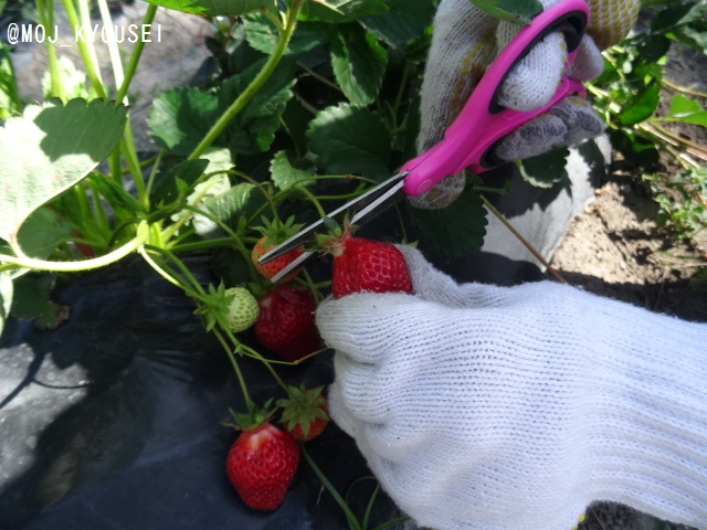 女子少年院 Twitter Search Twitter