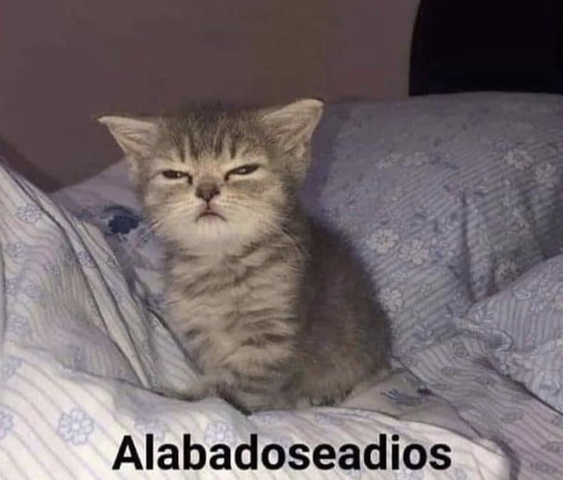 Yo, a las 3am intentando ver si lo que está en el rincón es ropa o un fantasma.