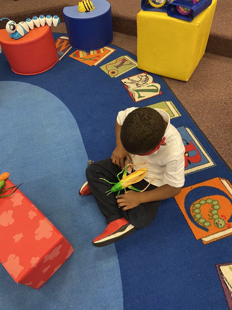 Thanks to our school interventionist, Mr. McKee, we had fun exploring insect models.  We wanted to find how insects are alike or different, count the parts of their bodies, and talk about how they might move.  <a href="/BCECC_DAYMAC/">Teddy Bear Country</a>