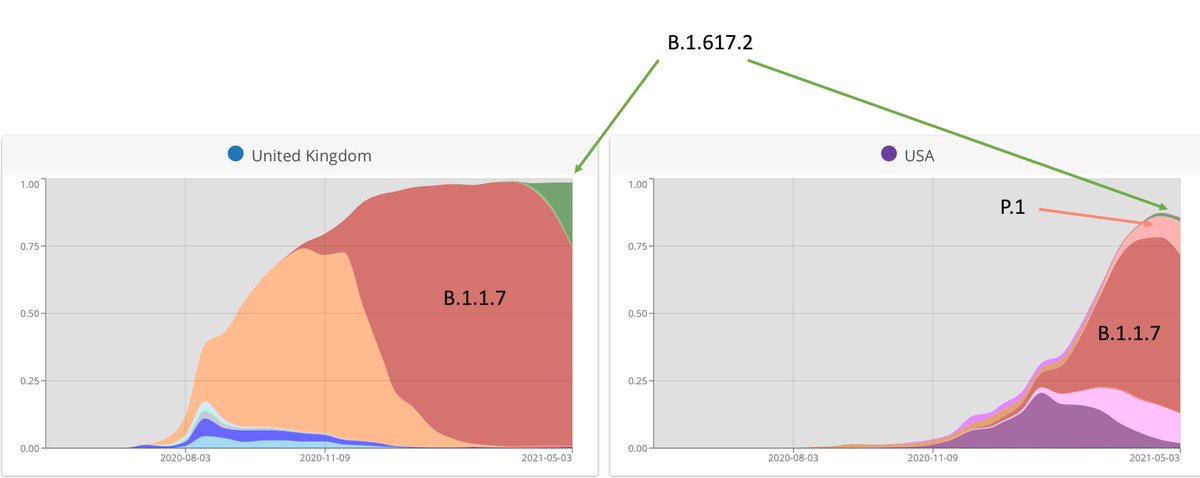 EricTopol's tweet photo. B.1.617.2 competing with B.1.1.7 in the UK.
Hello to B.1.617.2 (green) in the US, in addition to P.1 that is not going away. https://t.co/Zb2OqTmaO3