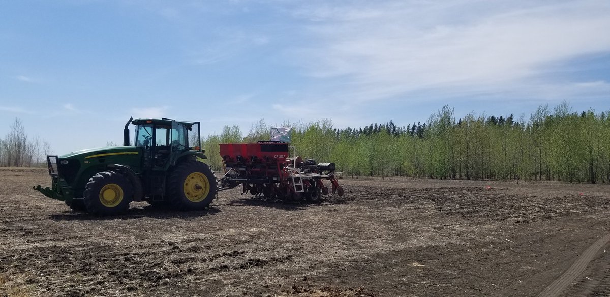 #biochar plots are planted for 2021. This years rotation consists of wheat and canola.