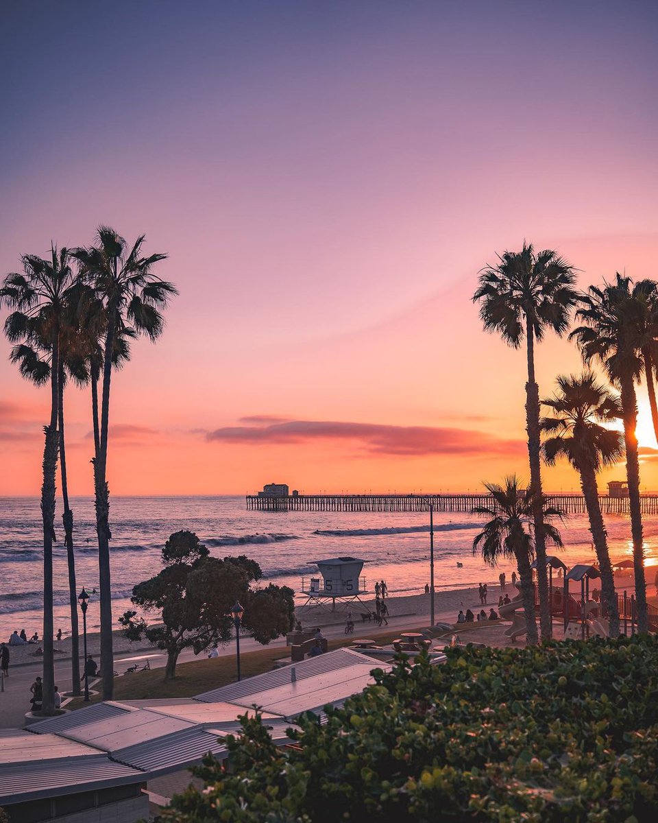 When you combine palm trees, waves, and the perfect colors, something truly magical happens. 📸: bit.ly/3ou6AQ7 #sandiegosunset #californiadreamin #pacificviews