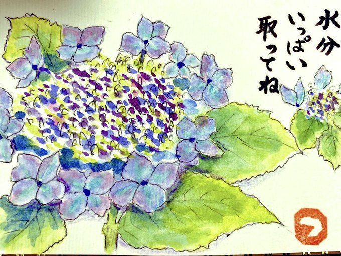快適絵手紙のtwitterイラスト検索結果 快適絵手紙のtwitterイラスト検索結果