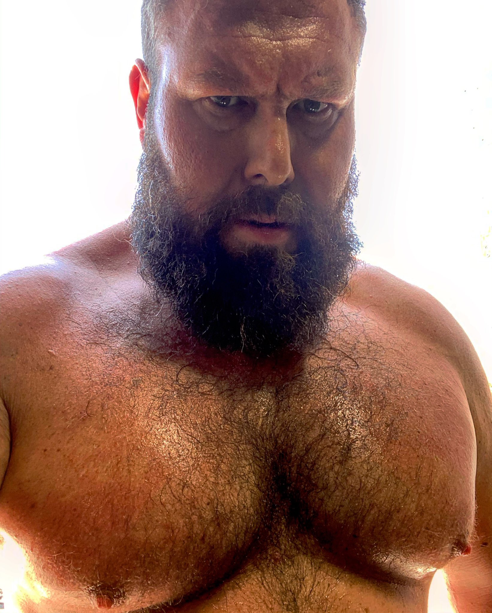 Parrow on X: What that #gay Twitter thing all about having a hairy Chest  ick? t.coL81bNmoVbw  X