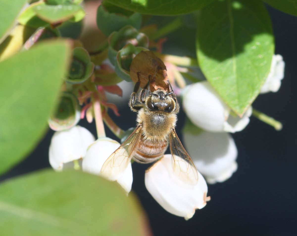 Ctic Ctic Tweet Twitter