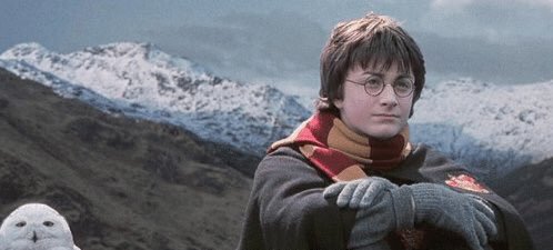 Cada día más enculadx de una persona a la que no me gusta Harry Potter.