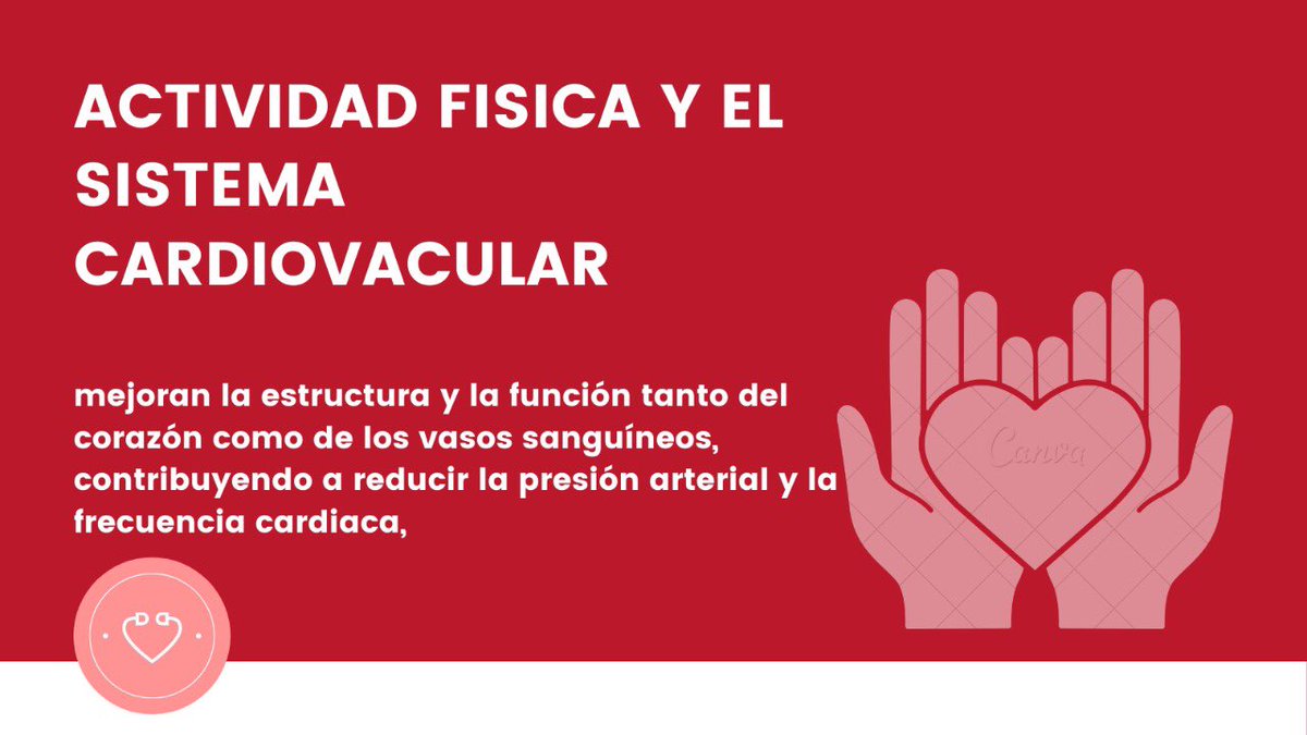 valdoce25's tweet photo. #sistema_cardiovascular #Fisioterapia https://t.co/n74eobnfYz