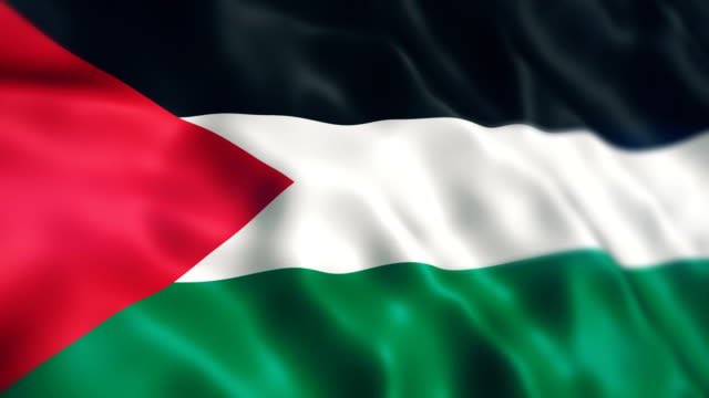 We stands in solidarity with Palestine.
#FreePalastine ❤️🖤🤍💚