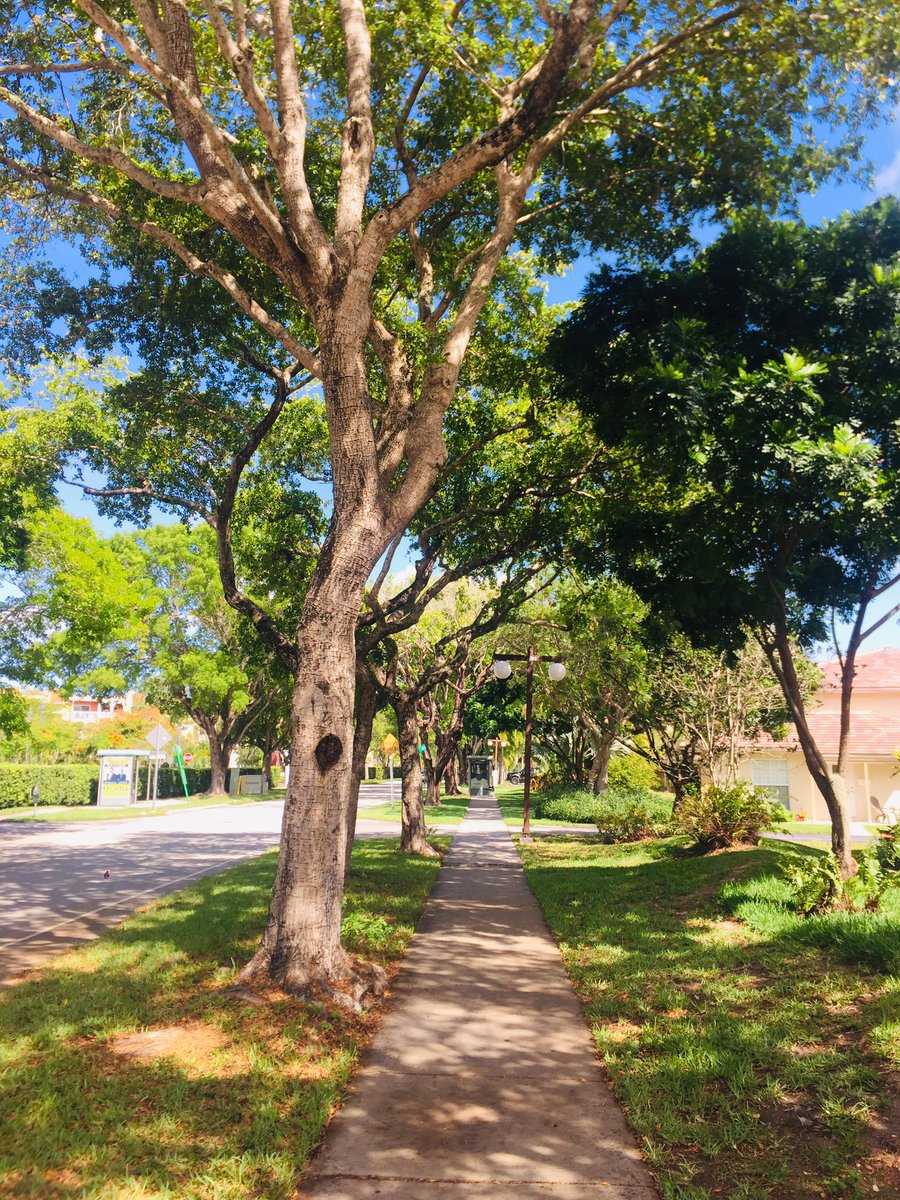 BangkokTrading's tweet image. Today I passed by my old neighborhood from the era of 1995-1999.
#GloryDays #Dadeland #KingsCreek