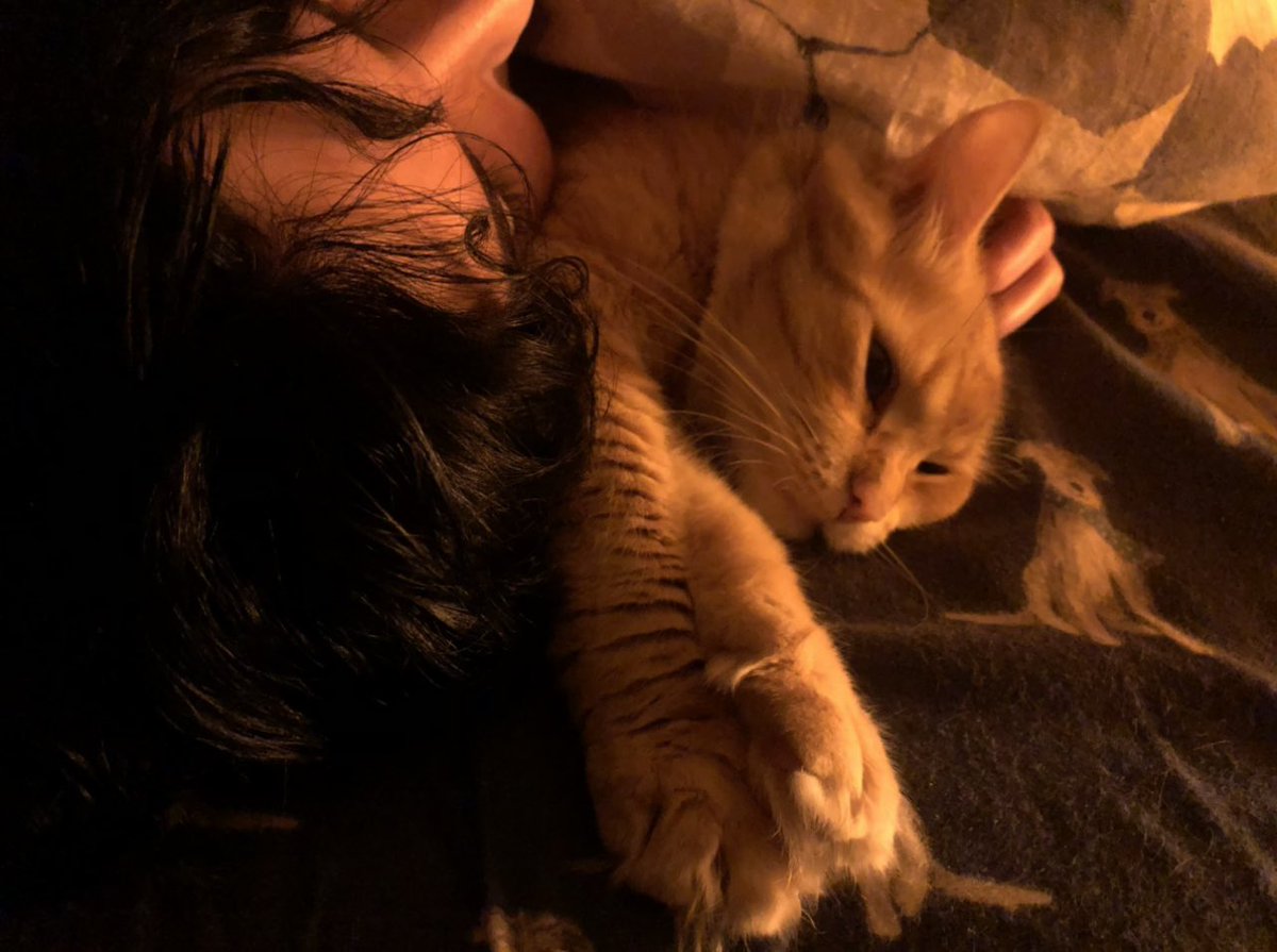 GetUnorthofox's tweet photo. Picture of me and Juno having a rest! For @PAWSOfficial1; love my paws family at home, love my $PAWS family too! Bonus picture solo cause she is my everything and so beautiful :). #PictureWithPAWSChallenge #HotbitPAWS https://t.co/B4vuAKHQkF