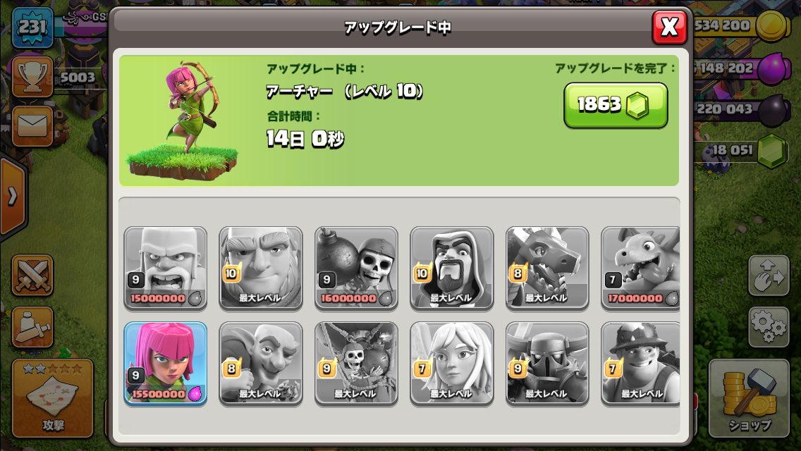 やっとヒーローのアップグレード完了！レベルMAXヒーラー期待してます😁引き続き、アーチャーレベルMAXに向けてアップグレード開始しました！