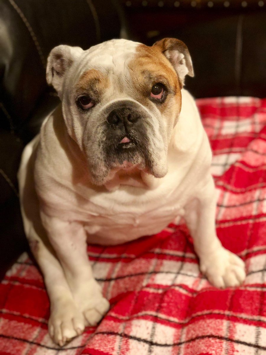 Dustin Grage tweet media