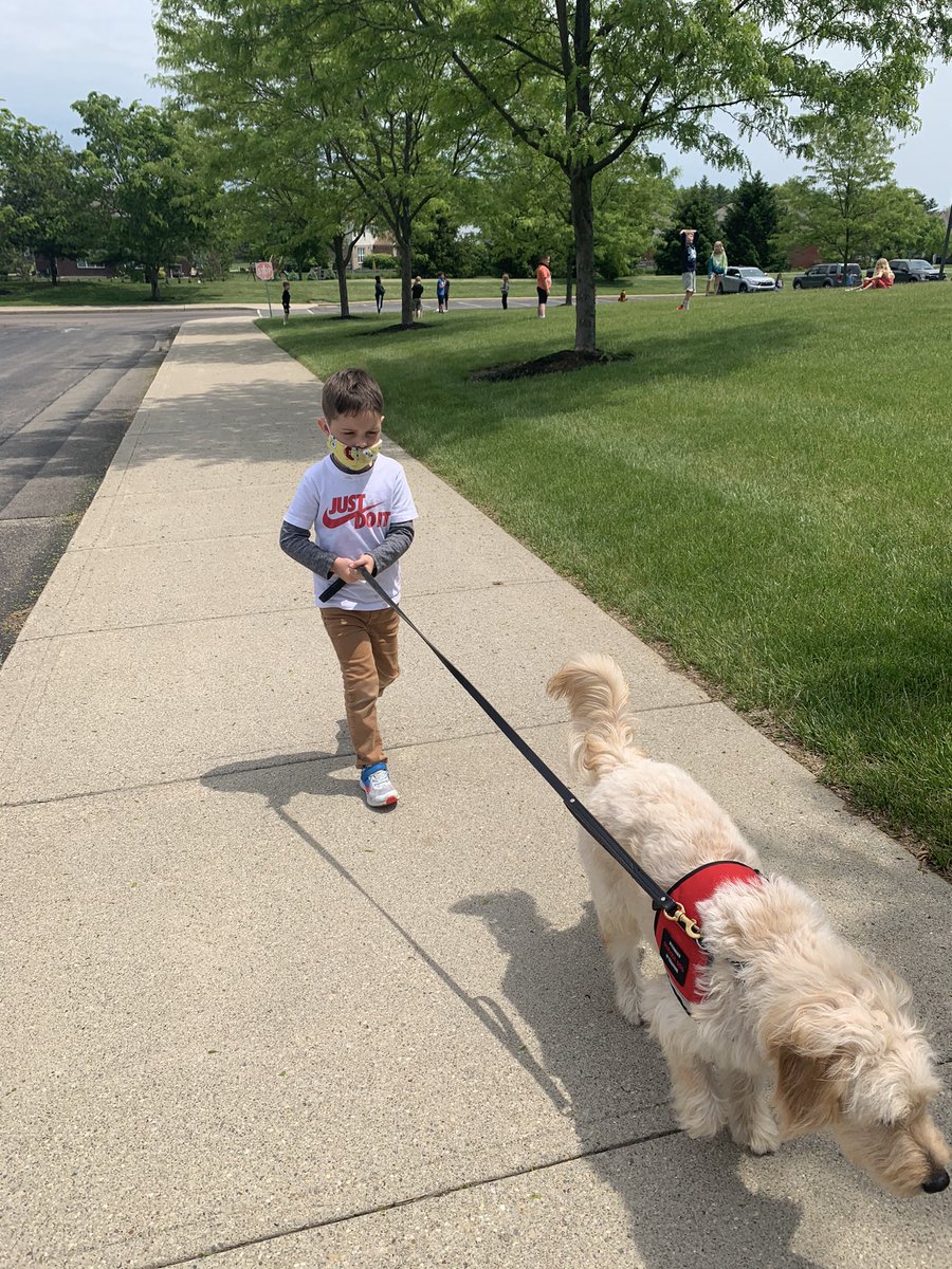 MECC_Counselor2's tweet photo. Some times you just need a walk, a little time to unwind or a quiet moment with Shiner to get back on track! #CometKids #CometWellness #MVP #MostValuablePup #MECCTherapydog #Shinerlove https://t.co/w8NHQ6RRuA