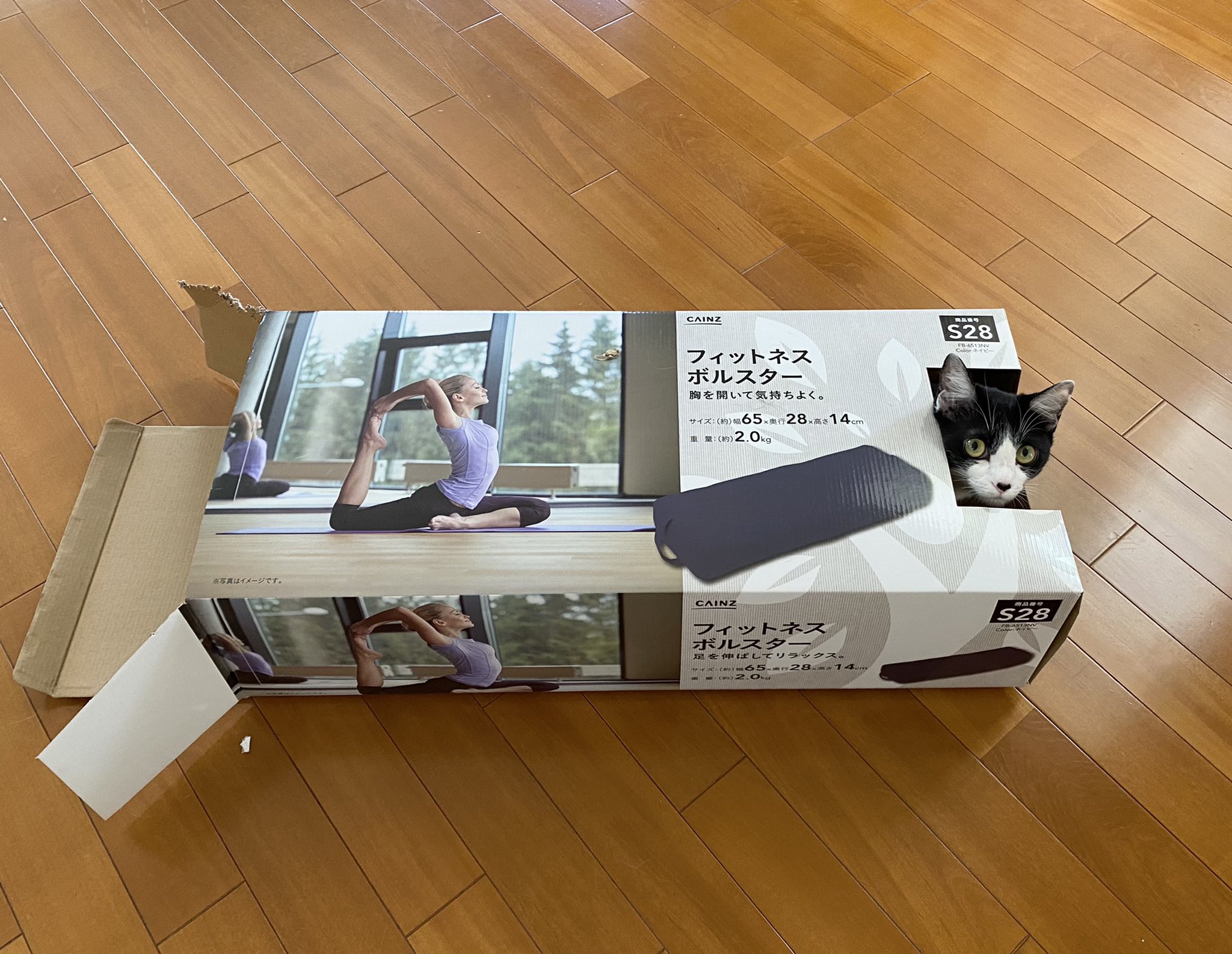 CAINZ フィットネスボルスター S28 約65×28×14cm 2個セット