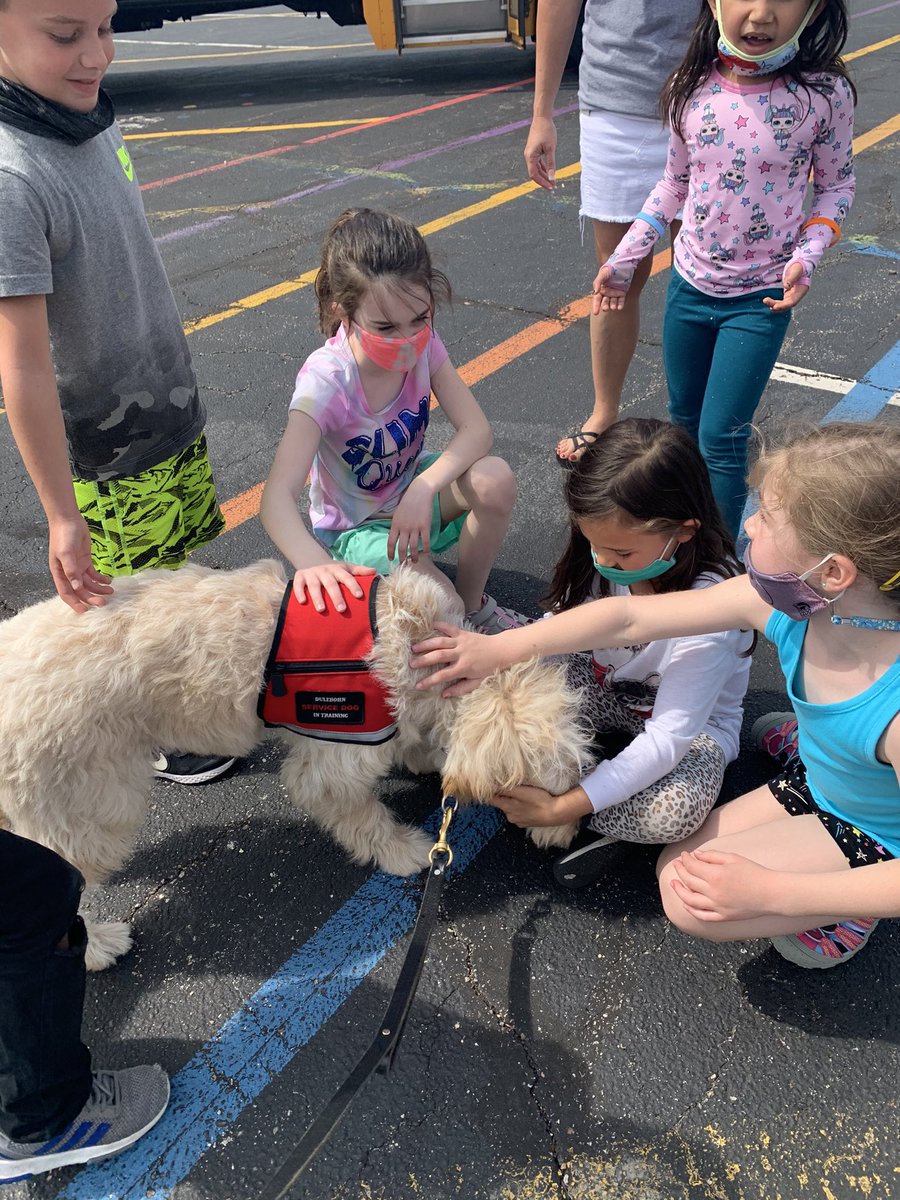 MECC_Counselor2's tweet photo. This @MECCtacular pup puts a smile on everyoneβs face! #MVP #MostValuablePup #Shinerlove #MECCTherapydog https://t.co/DY3PKfunXI