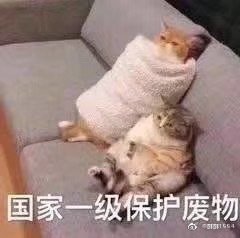 我南霸天又回来了！
