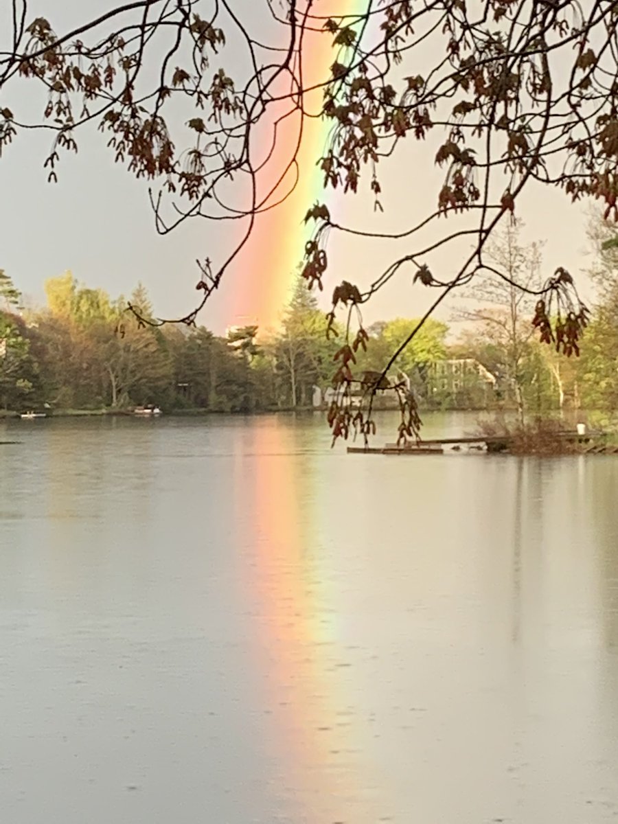 JacqueliStevens's tweet photo. Beautiful rainbow tonight! Hard not to feel hopeful in the face of such beauty! #hopeful https://t.co/z1njP7WUXe