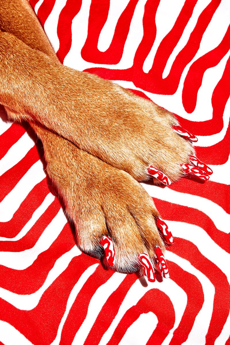 It's Friday! <a href="/amy_lombard/">Amy Lombard</a> examines the phenomenons, interests, and personalities that make up American culture with her photos. You can buy one at our Spring Photo Sale, which benefits the photographers and women in journalism. Available until June 15th! newswomensclubnewyork.com/2021-photo-auc…