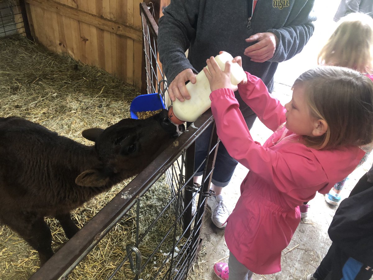 JLKindel's tweet photo. Field Trip Fun for PreK 2021!! https://t.co/I1uExzppmi