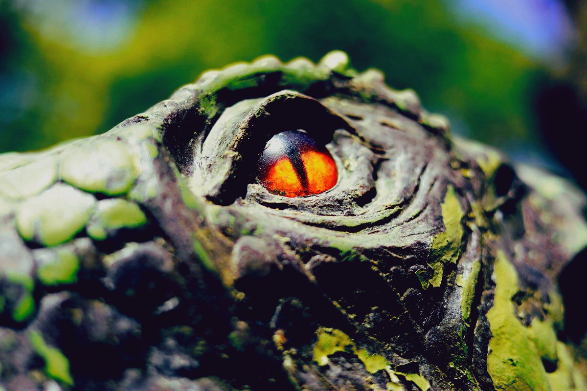 nerdyboystudio1's tweet photo. the terrible eye. #photooftheday #JurassicPark #PHOTOS #dinosaurs #dinosaurland #photographer #photoart #photography #eyes #roadTrip #FOTO #fotografia #canonphotography https://t.co/IlXoziakpV