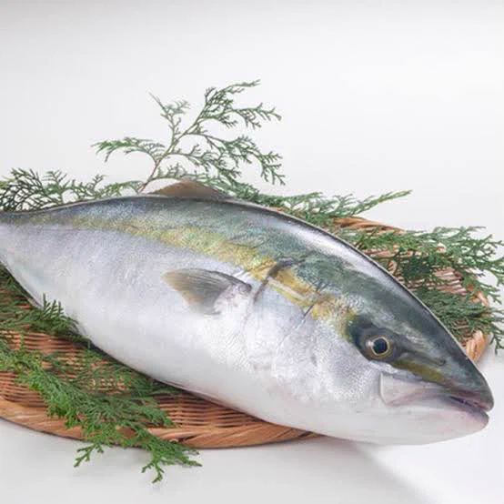 @telex_k ぶりもてる…ぶりイケメンになる…って最終的にヒラマサになりたかったってこと…？（出世魚） 