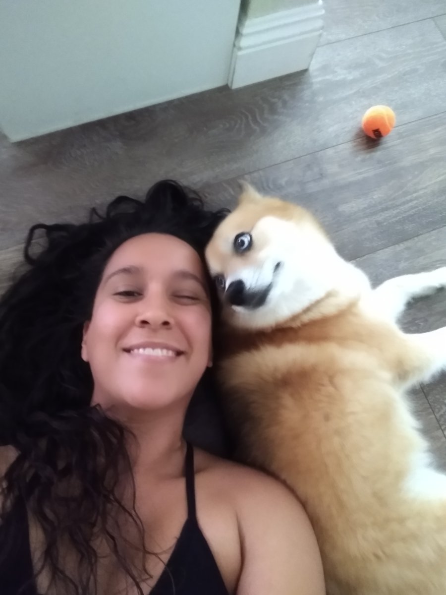 KatarinaLagos's tweet photo. is this lil guy a dog? cat? fox? coyote? ...what? IDK but it's cute! ...stop by my OnlyFans
https://t.co/VmGfTCDUju
#whatisthisanimal #ilovedogs #littledogs #dogsitting #dogwalker #mustlovedogs #pompsky #dogeyeliner #cuteanimals #iceblueeyes #dogslife #socute #onlyfans #brunettes https://t.co/U1gpbyhcpp
