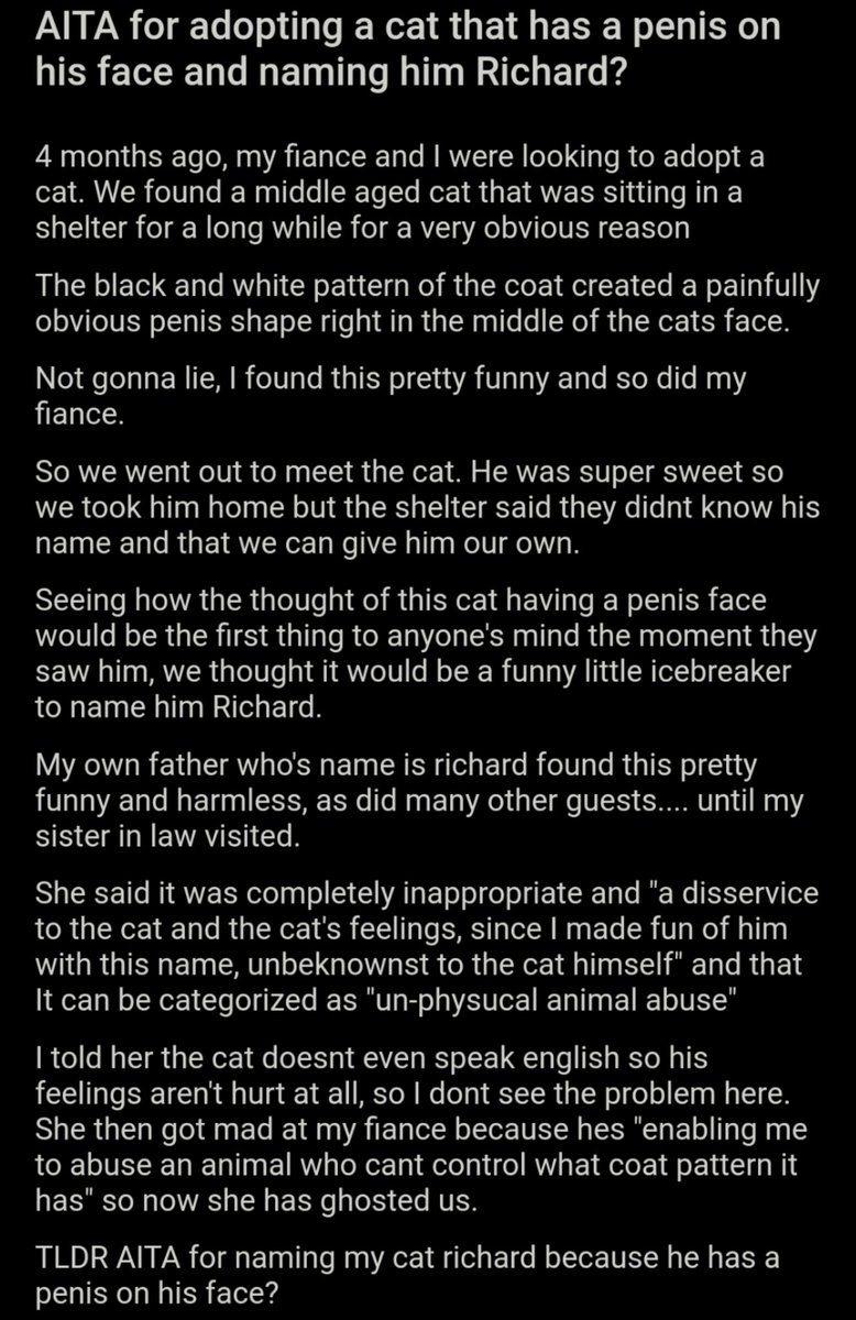 Am I the Asshole? tweet media