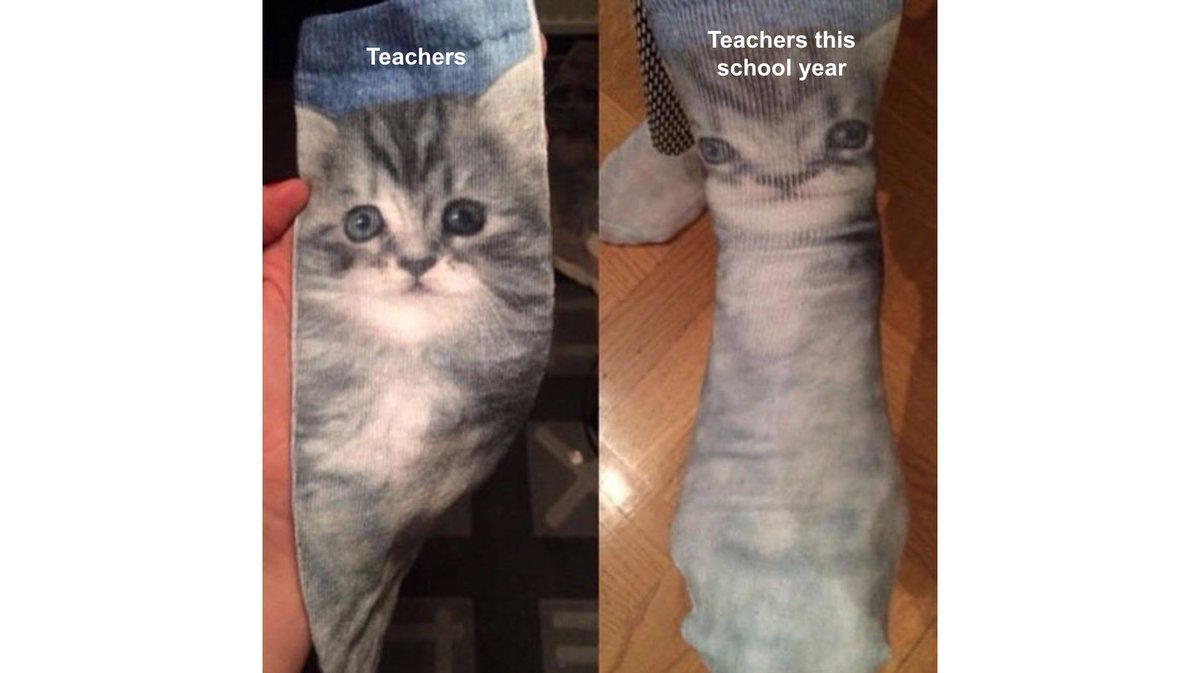 howie_hua's tweet image. Teachers this school year: